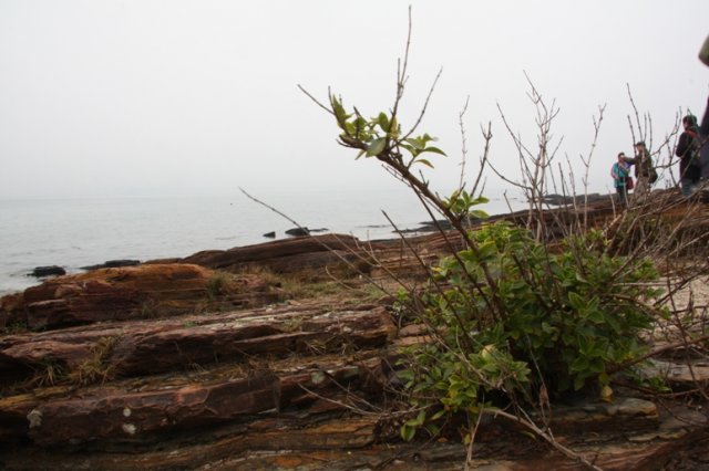 GeoPark (74)